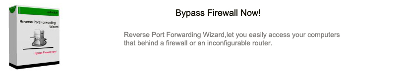 reverse port forwarding software