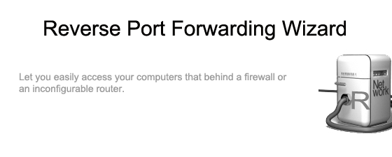reverse port forwarder