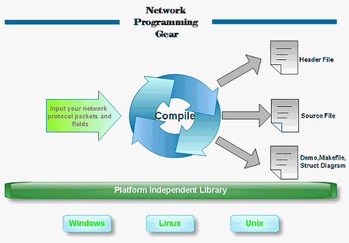 C Program For Socket Programming In Unix Shell